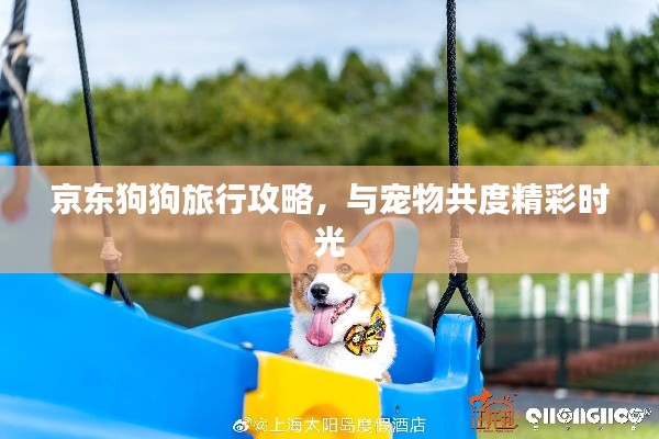 京東狗狗旅行攻略，與寵物共度精彩時光