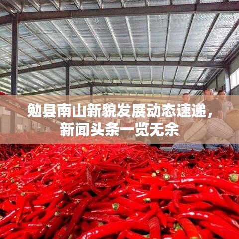 勉縣南山新貌發(fā)展動態(tài)速遞，新聞頭條一覽無余