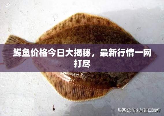 利官近貴 第4頁