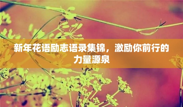 新年花語勵志語錄集錦，激勵你前行的力量源泉