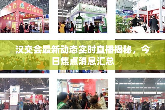 漢交會最新動態(tài)實時直播揭秘，今日焦點消息匯總
