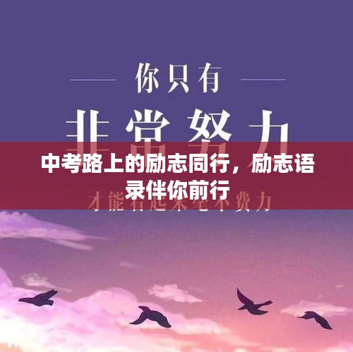 中考路上的勵志同行，勵志語錄伴你前行