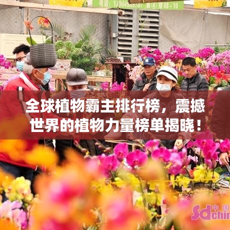 全球植物霸主排行榜，震撼世界的植物力量榜單揭曉！