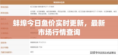 蚌埠今日魚價實時更新，最新市場行情查詢