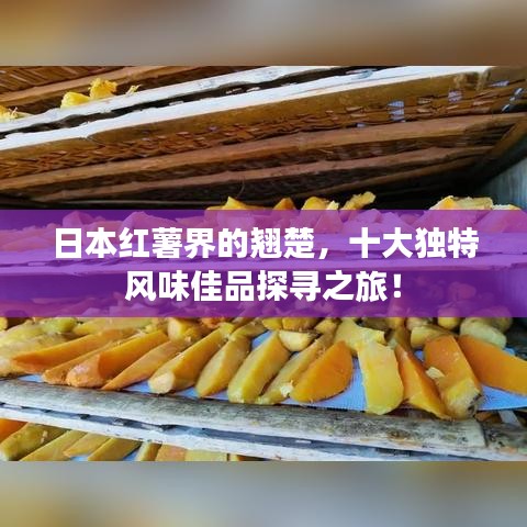 日本紅薯界的翹楚，十大獨(dú)特風(fēng)味佳品探尋之旅！
