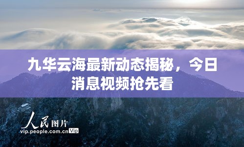 九華云海最新動態(tài)揭秘，今日消息視頻搶先看