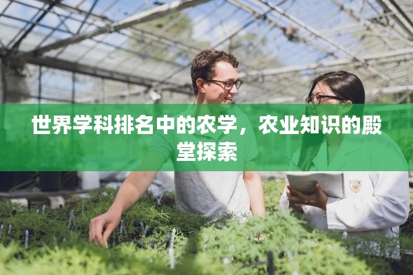 世界學(xué)科排名中的農(nóng)學(xué)，農(nóng)業(yè)知識的殿堂探索