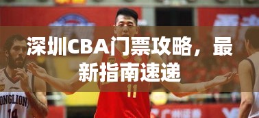 深圳CBA門票攻略，最新指南速遞