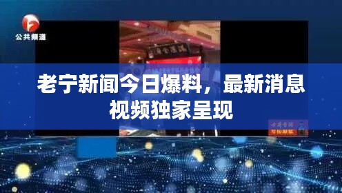 老寧新聞今日爆料，最新消息視頻獨家呈現(xiàn)