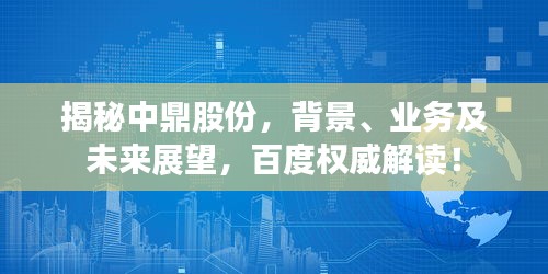 揭秘中鼎股份，背景、業(yè)務(wù)及未來展望，百度權(quán)威解讀！