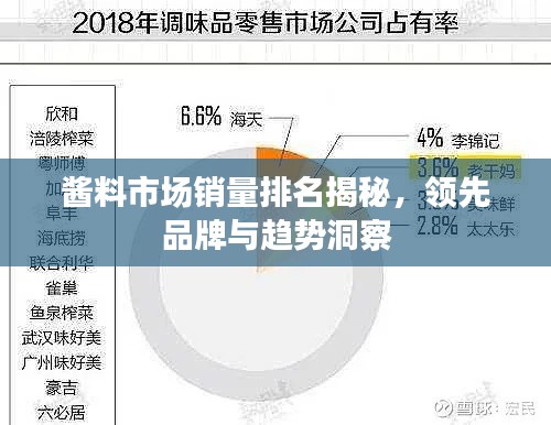 醬料市場銷量排名揭秘，領(lǐng)先品牌與趨勢洞察