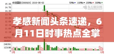 孝感新聞頭條速遞，6月11日時事熱點全掌握