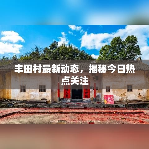 豐田村最新動態(tài)，揭秘今日熱點關(guān)注