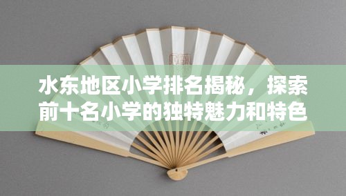 水東地區(qū)小學(xué)排名揭秘，探索前十名小學(xué)的獨(dú)特魅力和特色教育之路