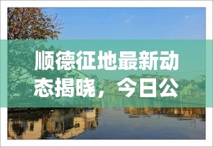 順德征地最新動態(tài)揭曉，今日公告刷新征地進展！