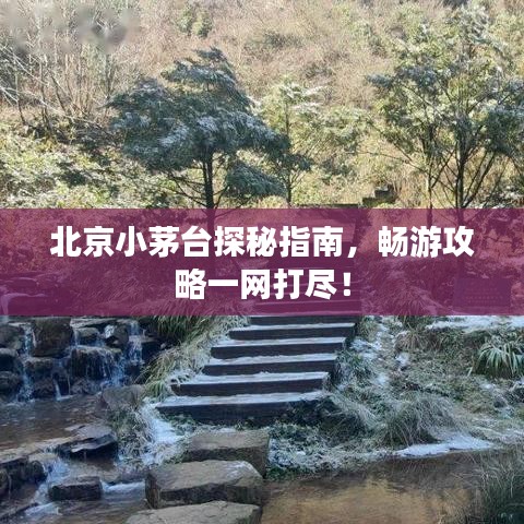 鑿壁偷光 第3頁