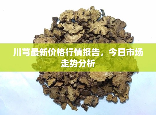 川芎最新價(jià)格行情報(bào)告，今日市場(chǎng)走勢(shì)分析