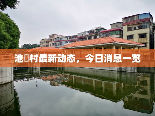 綱舉目張 第3頁(yè)