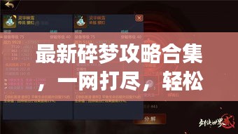 最新碎夢攻略合集，一網(wǎng)打盡，輕松掌握游戲技巧！