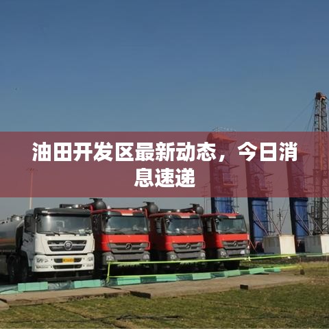油田開發(fā)區(qū)最新動(dòng)態(tài)，今日消息速遞