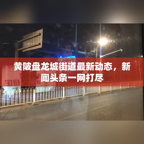 黃陂盤龍城街道最新動(dòng)態(tài)，新聞?lì)^條一網(wǎng)打盡