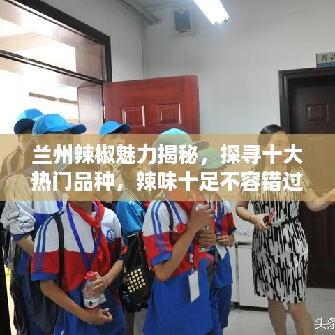 蘭州辣椒魅力揭秘，探尋十大熱門(mén)品種，辣味十足不容錯(cuò)過(guò)