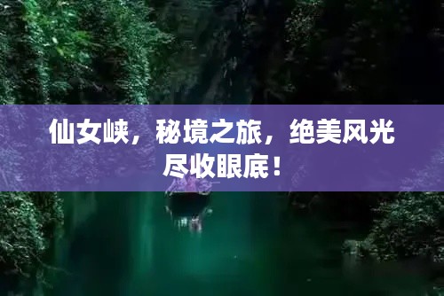 重張旗鼓 第3頁(yè)