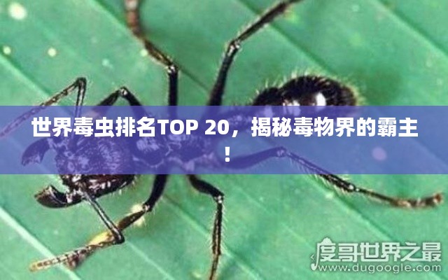 回眸最初 第3頁(yè)