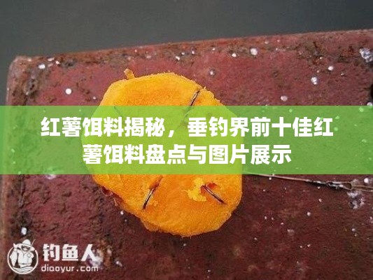 紅薯餌料揭秘，垂釣界前十佳紅薯餌料盤點(diǎn)與圖片展示