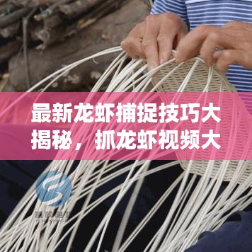最新龍蝦捕捉技巧大揭秘，抓龍蝦視頻大全，體驗樂趣無限！