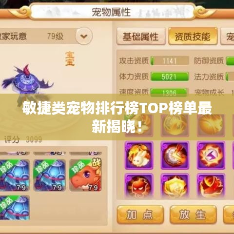 敏捷類(lèi)寵物排行榜TOP榜單最新揭曉！