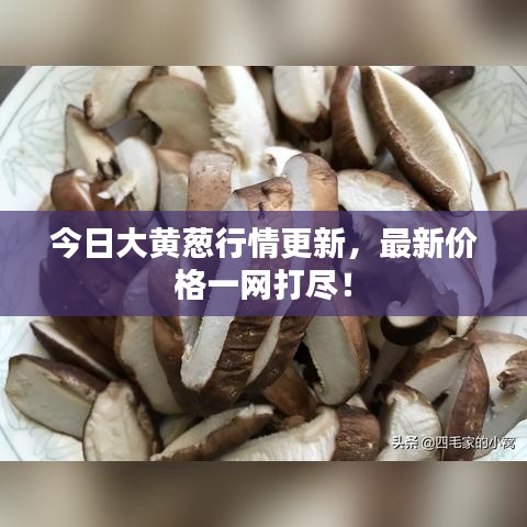 飛蝗蕪湖 第2頁(yè)