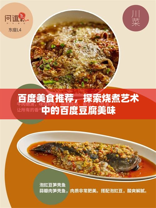 百度美食推薦，探索燒煮藝術(shù)中的百度豆腐美味