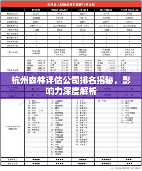杭州森林評(píng)估公司排名揭秘，影響力深度解析