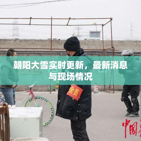 朝陽大雪實時更新，最新消息與現(xiàn)場情況