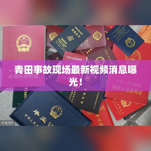 無影無蹤 第3頁