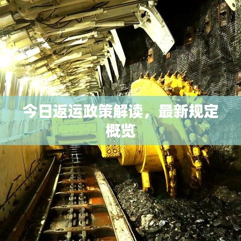 今日返運(yùn)政策解讀，最新規(guī)定概覽