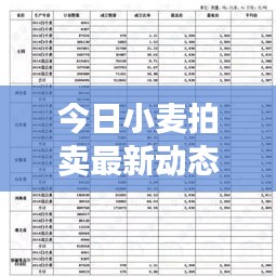 今日小麥拍賣(mài)最新動(dòng)態(tài)，市場(chǎng)走勢(shì)及前景展望
