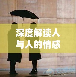 深度解讀人與人的情感連接，心心相照的魅力