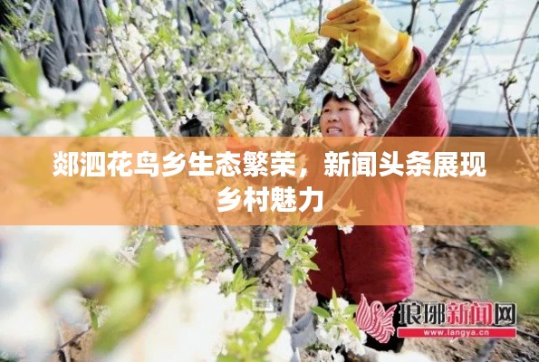 郯泗花鳥(niǎo)鄉(xiāng)生態(tài)繁榮，新聞?lì)^條展現(xiàn)鄉(xiāng)村魅力