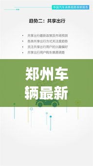 鄭州車輛最新報(bào)告揭秘，今日交通狀況全面解析