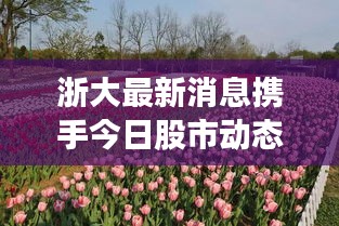 浙大最新消息攜手今日股市動態(tài)，一網打盡，不容錯過