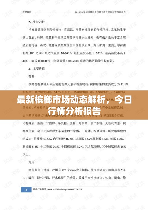 最新檳榔市場動態(tài)解析，今日行情分析報告