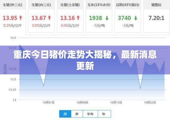 重慶今日豬價走勢大揭秘，最新消息更新