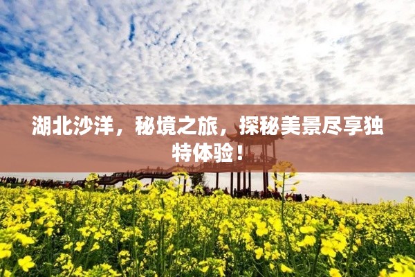 湖北沙洋，秘境之旅，探秘美景盡享獨(dú)特體驗(yàn)！