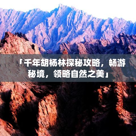 「千年胡楊林探秘攻略，暢游秘境，領(lǐng)略自然之美」