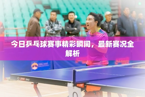 今日乒乓球賽事精彩瞬間，最新賽況全解析