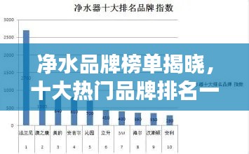 凈水品牌榜單揭曉，十大熱門品牌排名一網(wǎng)打盡