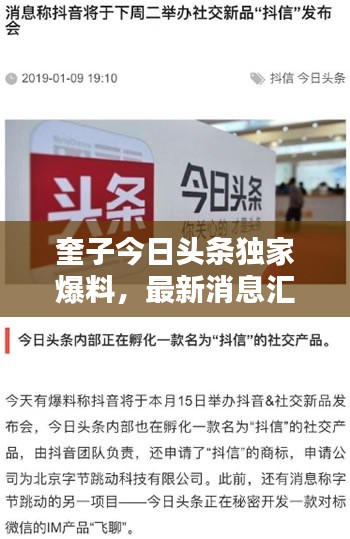 奎子今日頭條獨家爆料，最新消息匯總