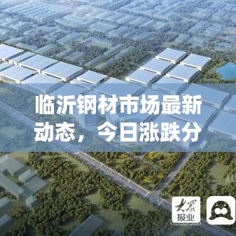 臨沂鋼材市場最新動態(tài)，今日漲跌分析與趨勢解讀
